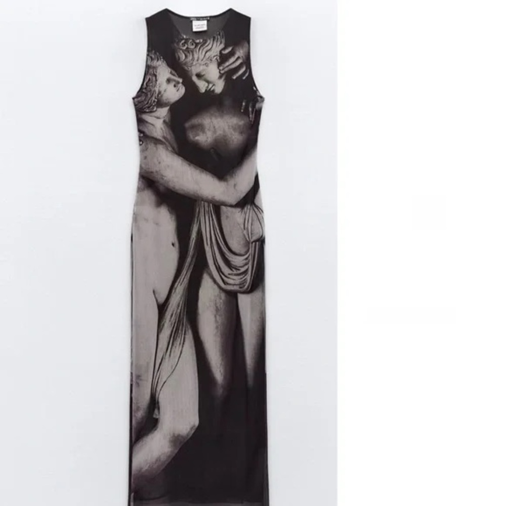 Zara The Three Graces Tulle Printed Dress